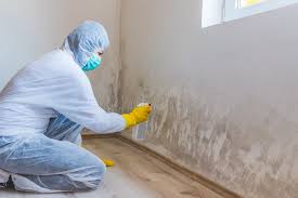 Trusted Reedurban, OH Mold Prevention & Removal  Experts