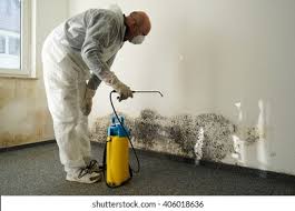 Why You Should Choose Our Mold Remediation Services in Reedurban, OH